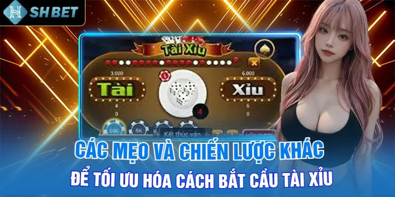 cách bắt cầu tài xỉu