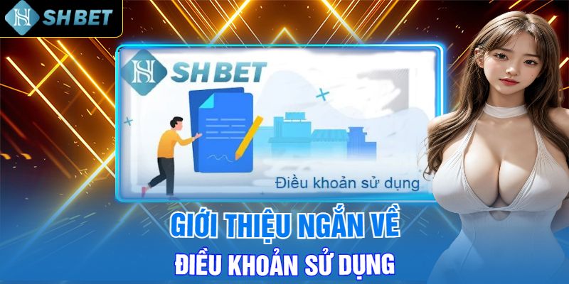 Điều Khoản Sử Dụng