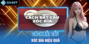 Cách Bắt Cầu Xóc Đĩa