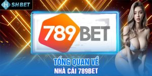 Tổng Quan Về Nhà Cái 789bet