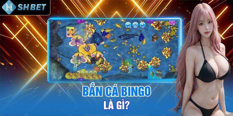 Bắn Cá Bingo Là Gì?