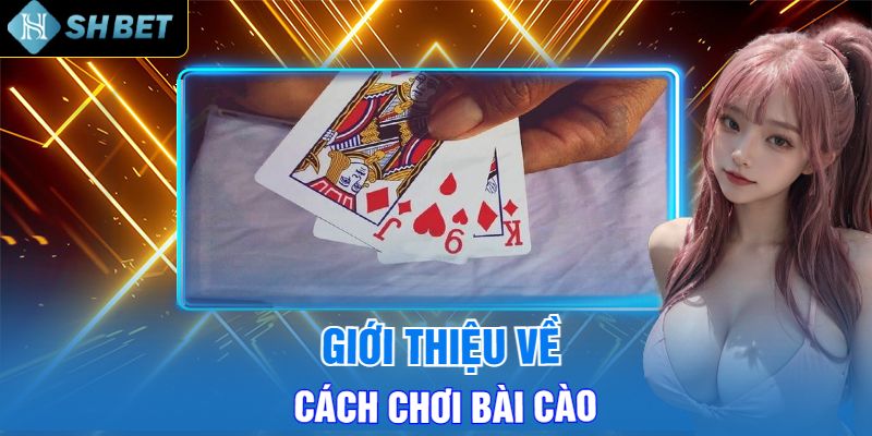 Giới Thiệu Sơ Lược Về Mẹo Chơi Bài Cào