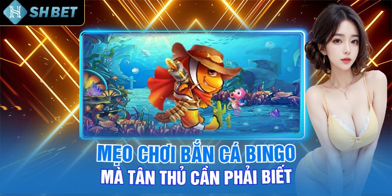 Mẹo Chơi Bắn Cá Bingo Mà Tân Thủ Cần Phải Biết