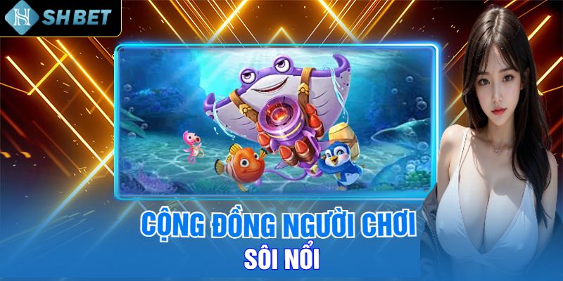 Cộng Đồng Người Chơi Sôi Nổi