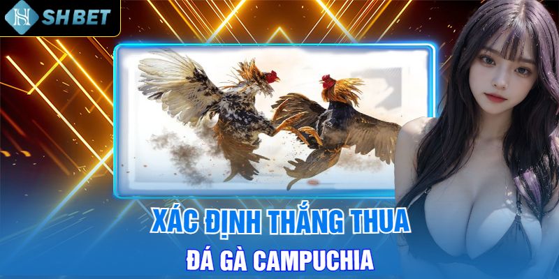 Xác Định Thắng Thua Đá Gà Campuchia