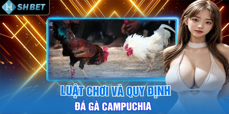 Luật Chơi Và Quy Định Đá Gà Campuchia