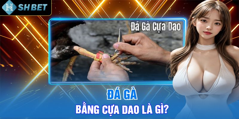 Đá Gà Bằng Cựa Dao Là Gì?