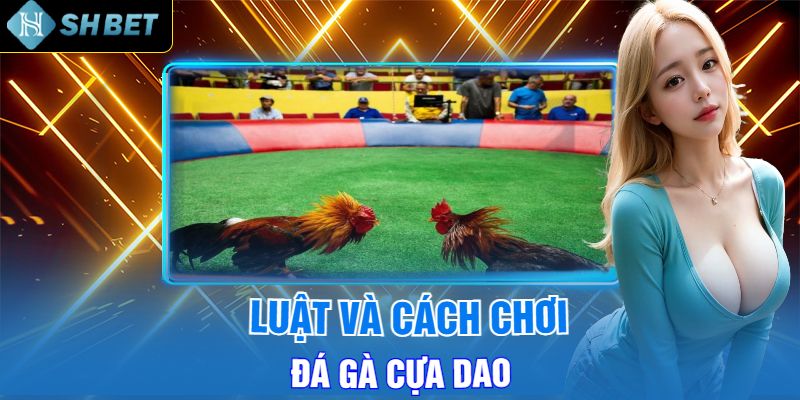 Luật Chơi Và Cách Thức Chơi Đá Gà Cựa Dao