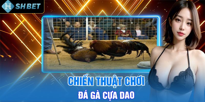 Chiến Thuật Chơi Đá Gà Cựa Dao