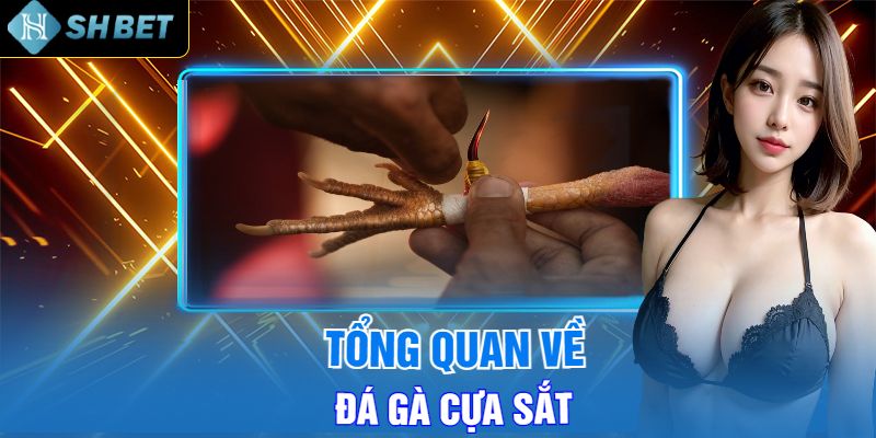 Tổng Quan Đá Gà Cựa Sắt