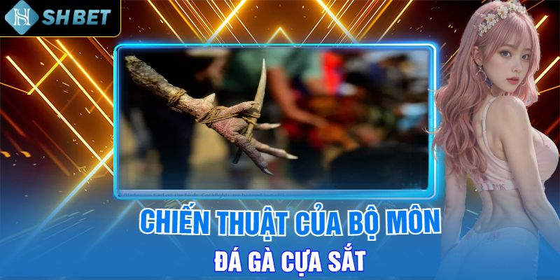 Chiến Thuật Bộ Môn Đá Gà Cựa Sắt