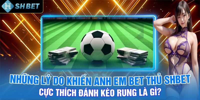 Những Lý Do Khiến Anh Em Bet Thủ Shbet Cực Thích Đánh Kèo Rung Là Gì?