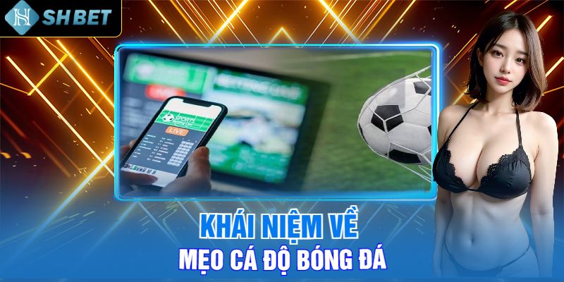 Khái Niệm Về Mẹo Cá Độ Bóng Đá