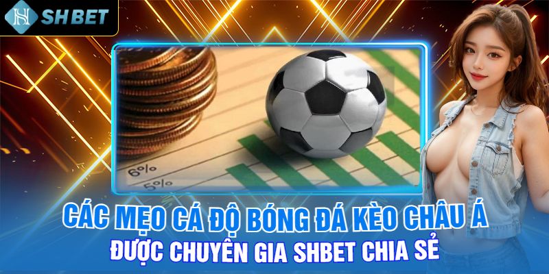 Các Mẹo Cá Độ Bóng Đá Kèo Châu Á Được Chuyên Gia Shbet Chia Sẻ