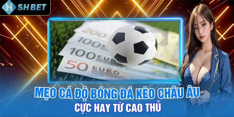 Mẹo Cá Độ Bóng Đá Kèo Châu Âu Cực Hay Từ Cao Thủ