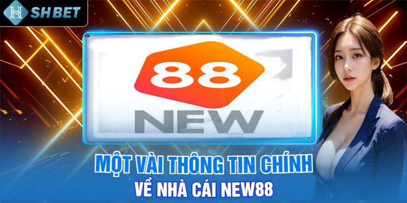 Một Vài Thông Tin Chính Về Nhà Cái New88