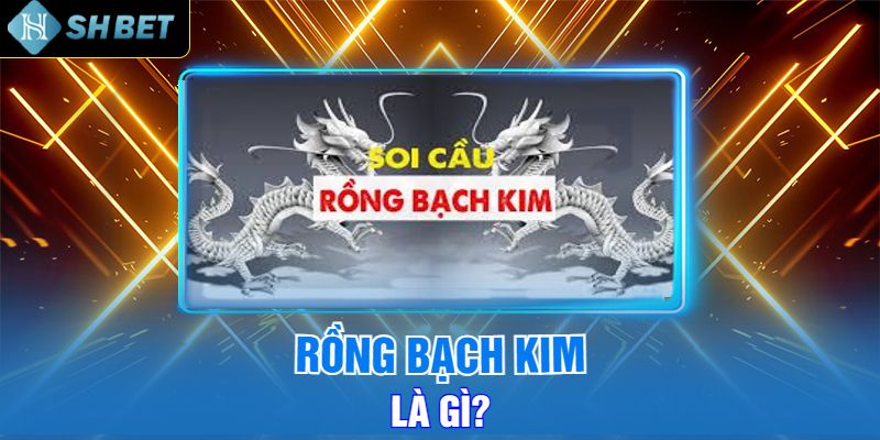 Rồng Bạch Kim Là Gì?