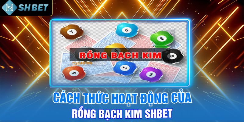 Cách Thức Hoạt Động Của Rồng Bạch Kim Shbet