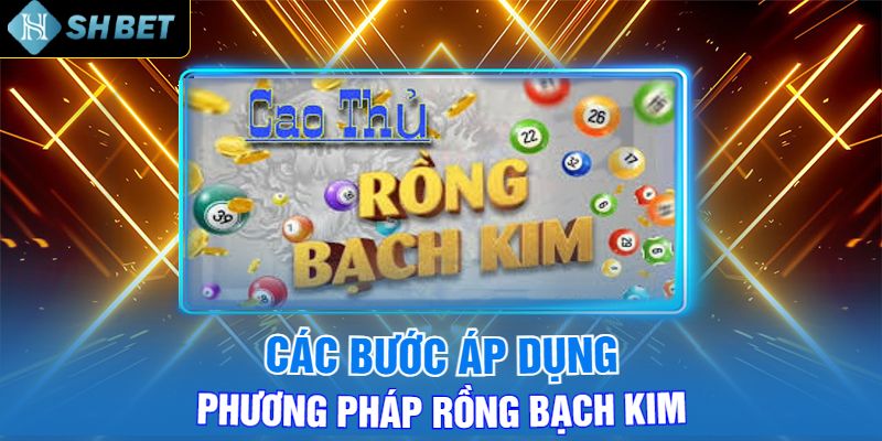 Các Bước Áp Dụng Phương Pháp Rồng Bạch Kim