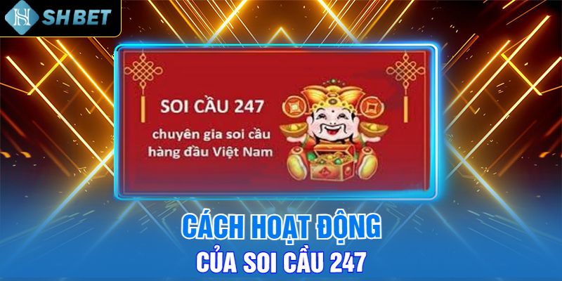 Cách Hoạt Động Của Soi Cầu 247